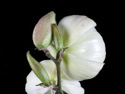 © Landcare Research 2012 